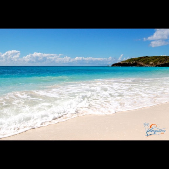 Meet your Posher, Ellie - Picture 1 of 1